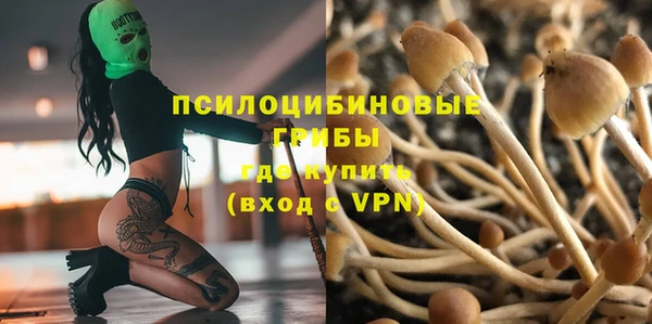 альфа пвп Армянск