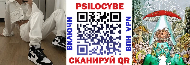сколько стоит Пушкино Псилоцибиновые грибы MAGIC MUSHROOMS