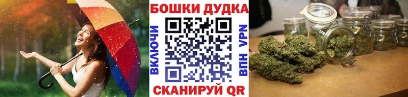 hydra как зайти  Пушкино  Шишки марихуана SATIVA & INDICA 